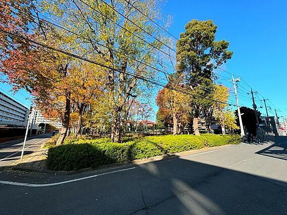 中山西公園 徒...