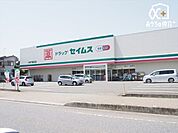 徒歩4分。【セイムス入間下藤沢店】営業時間8時30分～21時45分。ポイントデー水曜日・日曜日。駐車場台数28台。 320m