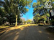 椿峰中央公園 徒歩6分。閑静な道並みの中にある広い公園。緑も豊かで落ち着く環境です。 450m
