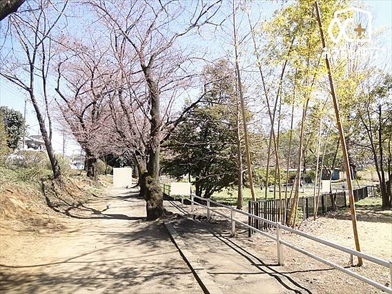 白山公園 徒歩...