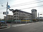 小学校「岡山市立御南小学校まで1238ｍ」