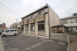 ダンデライオン　C