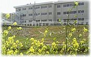 小学校「岡山市立横井小学校まで629ｍ」