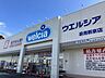 周辺：ウエルシア泉南新家店 1100m