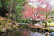 龍野公園●電話番号　0791-64-3164 570m