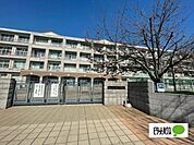 中学校「富士市立富士中学校まで539m」