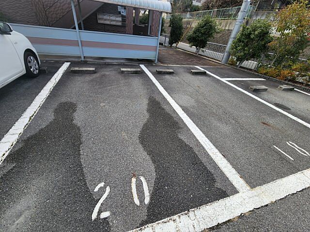 5 / 6