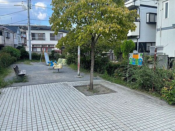 周辺を拡大表示