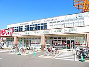 くすりのレデイ姫原店 450m
