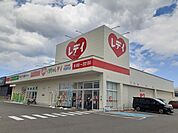 くすりのレデイ問屋町店 550m