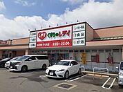 くすりのレデイ平井店 800m