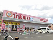ひまわり東長戸店 650m
