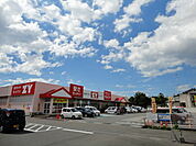 ZY（スーパー）富岡店 1215m