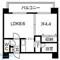 セレブシティ4階5.5万円