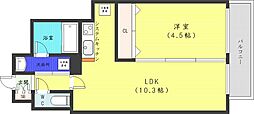 レジディア南一条イースト 1LDKの間取図画像