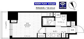 東京都港区六本木2丁目2-4（賃貸マンション1K・10階・30.01㎡） その2