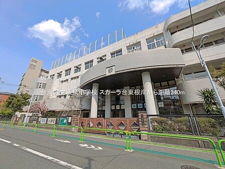 小学校 340m 台東区立東泉小学校