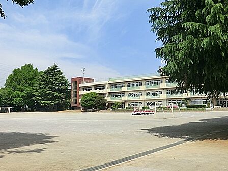 小学校 600m 川口市立鳩ケ谷小学校