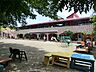 周辺：幼稚園・保育園 500m 精心幼稚園
