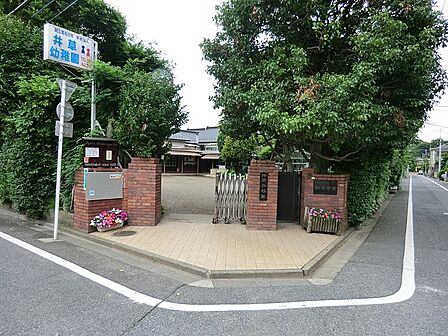 幼稚園・保育園 210m 井草幼稚園