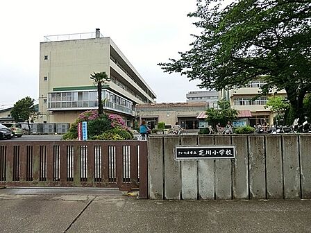 小学校 1041m さいたま市立芝川小学校