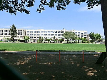 小学校 500m 小金井市立第二小学校
