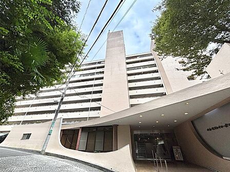 溢れる陽光でご家族の笑顔も輝く