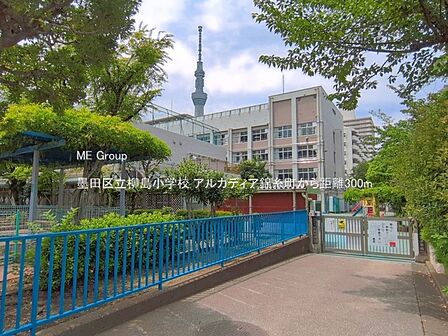 小学校 300m 墨田区立柳島小学校
