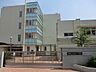 周辺：中学校 700m 板橋区立志村第一中学校