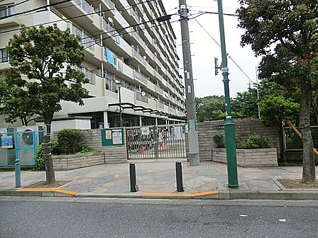 幼稚園・保育園 800m 足立区立竹の塚保育園