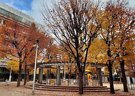 公園 100m 台東区立金竜公園