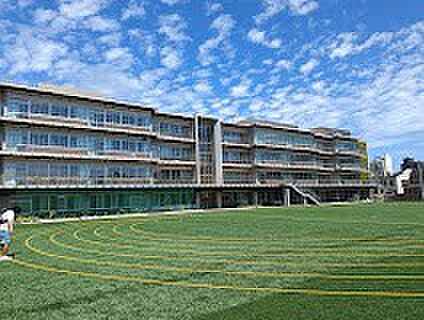 小学校 220m 中野区立中野第一小学校
