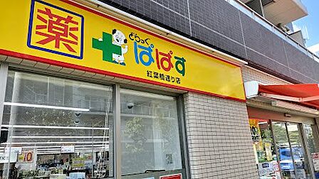 ドラッグストア 160m どらっぐぱぱす 紅葉橋通り店