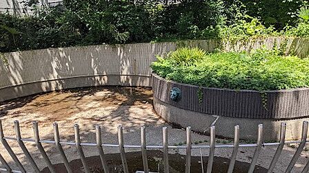 公園 200m 豊島区立谷端川親水公園