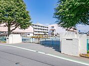 小学校 500m 所沢市立南小学校