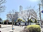 溢れる陽光でご家族の笑顔も輝く