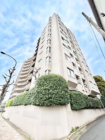 生活に便利な地に伸びやかな家族の生活風景を描く住まい