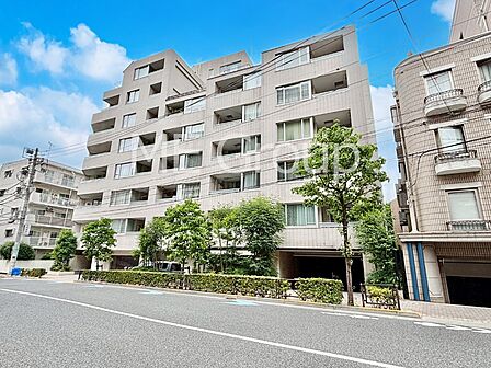 溢れる陽光でご家族の笑顔も輝く 　