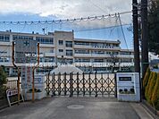 小学校 800m 川越市立新宿小学校