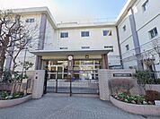 小学校 690m 板橋区立蓮根小学校