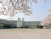 小学校 1000m 和光市立新倉小学校