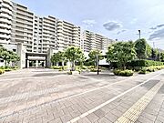 溢れる陽光でご家族の笑顔も輝く  