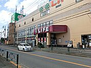 スーパー 500m ライフ西大泉店
