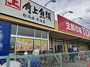 スーパー 1700m 生鮮市場TOP 苗間店