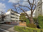中学校 510m 板橋区立志村第五中学校