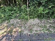 境界を示す棒1