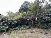 正面から