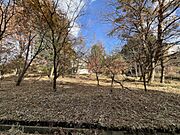 写真の中に写っているのが対象の土地です。
