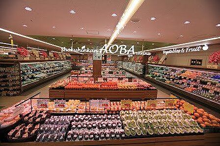 食品館あおば 鷺沼店 490m