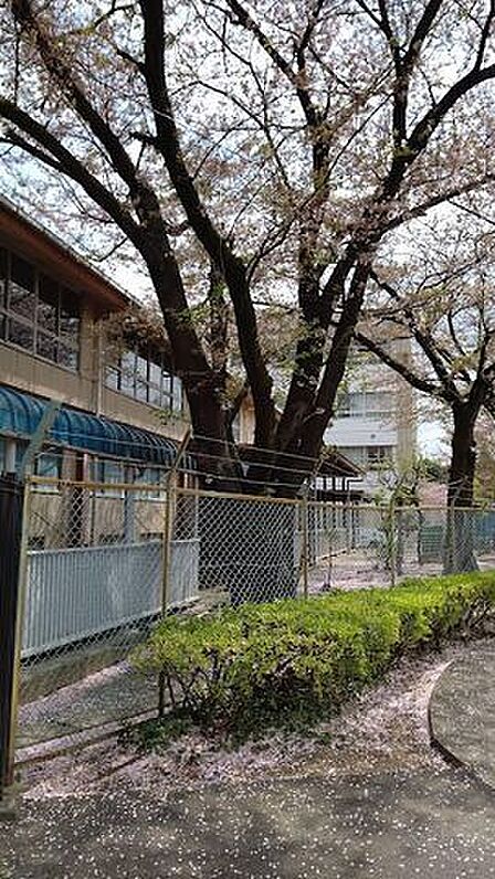 犬蔵中学校 540m